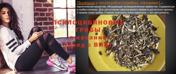 тгк Абинск
