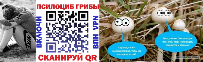 Галлюциногенные грибы мицелий даркнет клад Полтавская
